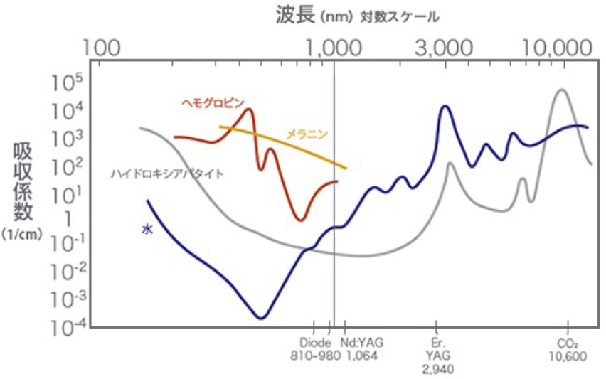 レーザーの波長別 吸収特性